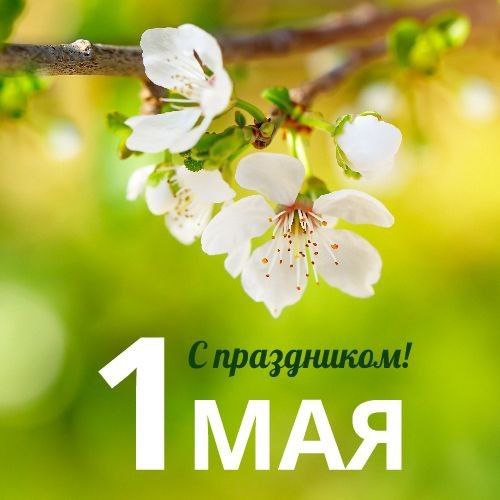 Поздравление главы города Балаково Романа Ирисова с праздником весны и труда 1 мая