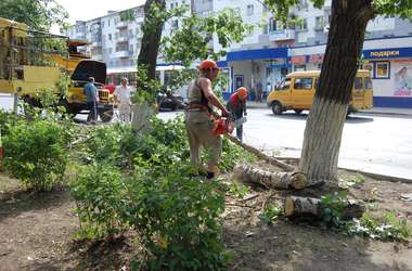 Требуются рабочие на благоустройство города